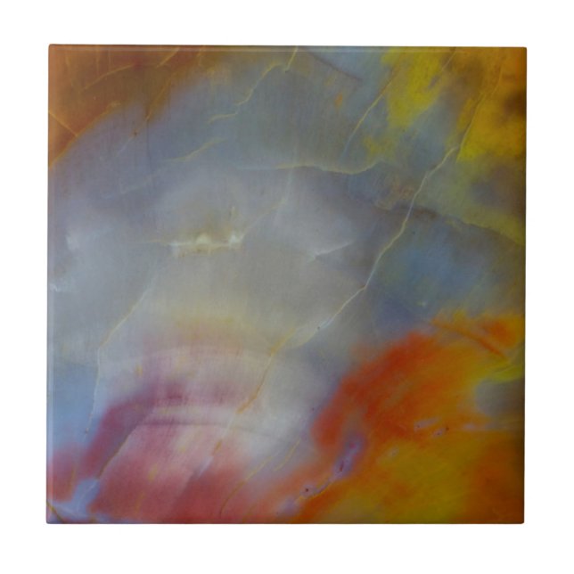 Abstrato Petrified Wood close-up (Frente)