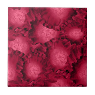 Abstrato rosa vermelha flores de papoila floral ro