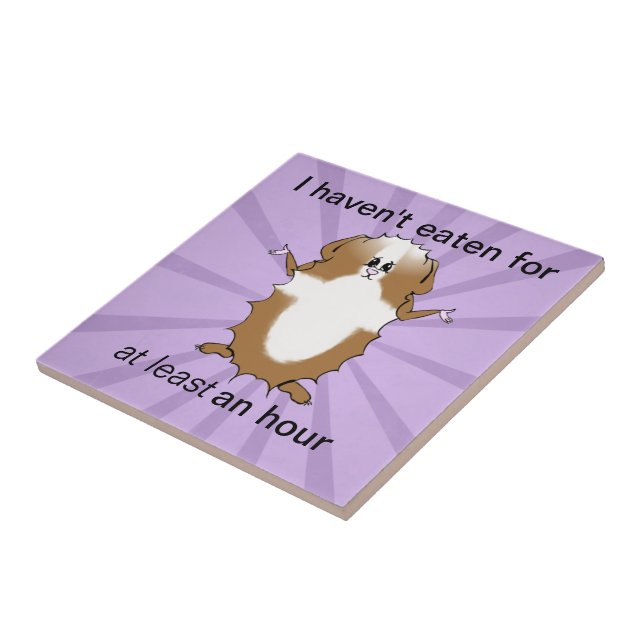 Abyssinian Guiné Pig Comic (Lateral)