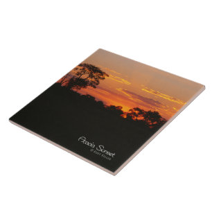 Acacia Sunset