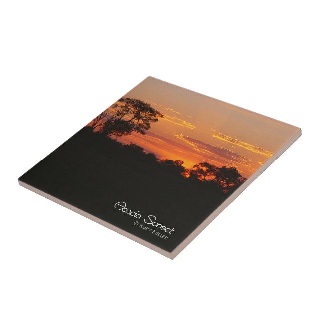 Acacia Sunset (Lateral)