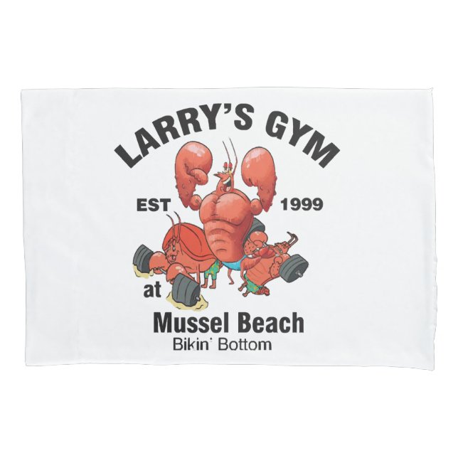 Academia do Larry na Praia de Mexilhão (Frente)