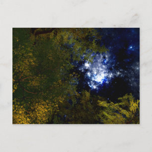 Acampamento Sob O Cartão Postal Stars