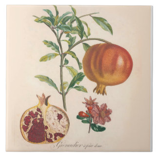 Acento decorativo da cozinha do azulejo da romã