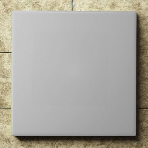 Acento Moderno do Interior Chic Silver Sleek