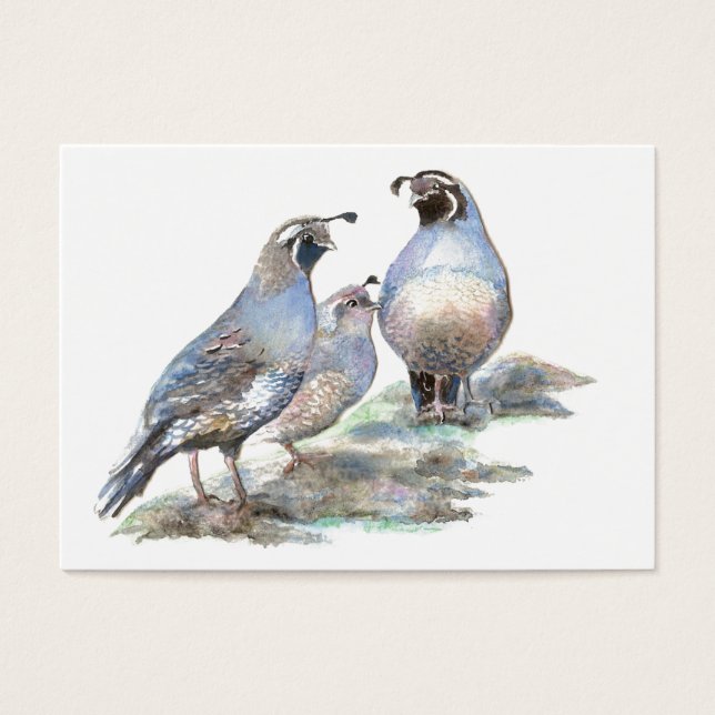 ACEO ATC California Quail (Frente)