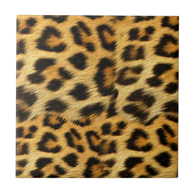 Acessórios com estampa de pele de leopardo realist (Frente)