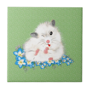 Acessórios de hamster sírio branco e bonito, polca