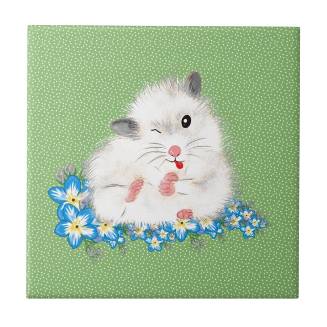 Acessórios fofos de hamster sírio branco, bolinhas (Frente)