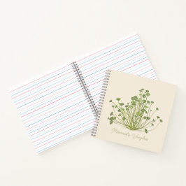 Acetabularia algas-marinhas desenhadas à mão