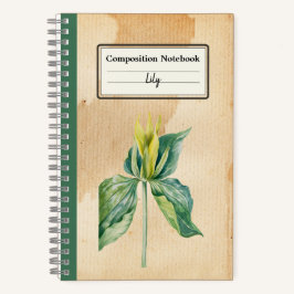 Acordar Desenhado Mão Robin Composição Personaliza