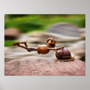 Acorn elf cavalgando na poster de caracol