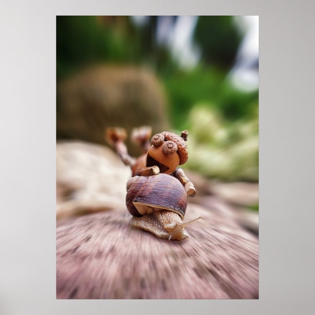 Acorn elf cavalgando na poster de caracol (Frente)