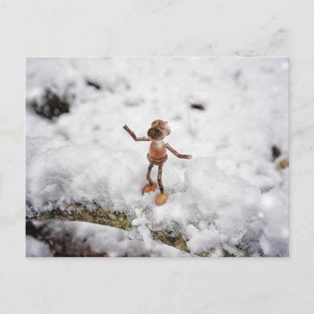 Acorn elf comendo neve - Cartão postal de inverno (Frente)