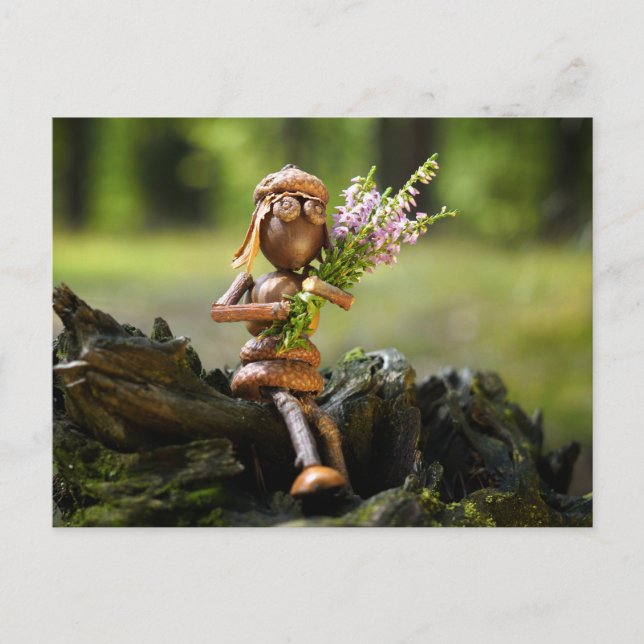 Acorn elf girl com cartões postais de flores (Frente)