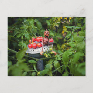 Acorn elf jardener com cartão postal tomatos