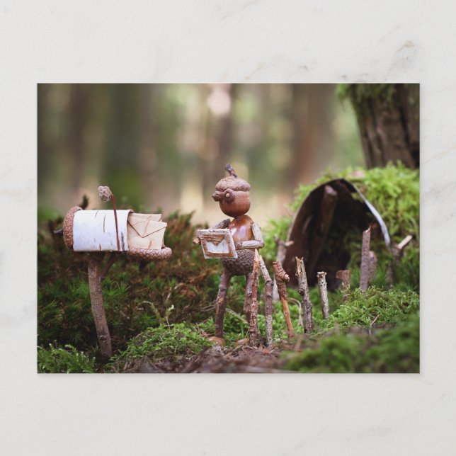 Acorn elf lendo cartão postal - cartão postal (Frente)