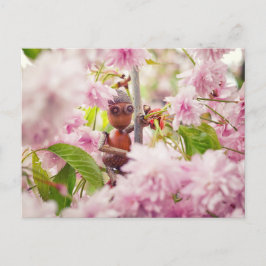 Acorn elf no cartão postal da sakura florida