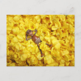 Acorn elf no cartão postal das flores