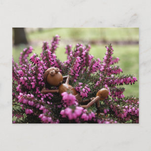 Acorn elf no cartão postal do jardim da saúde