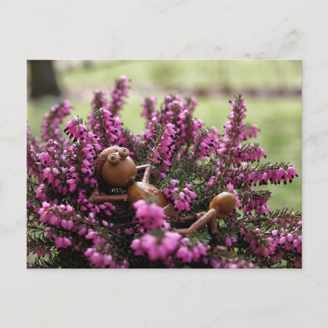 Acorn elf no cartão postal do jardim da saúde (Frente)