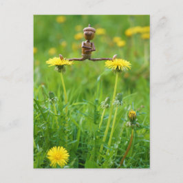 Acorn elf sobre dandelions no cartão postal
