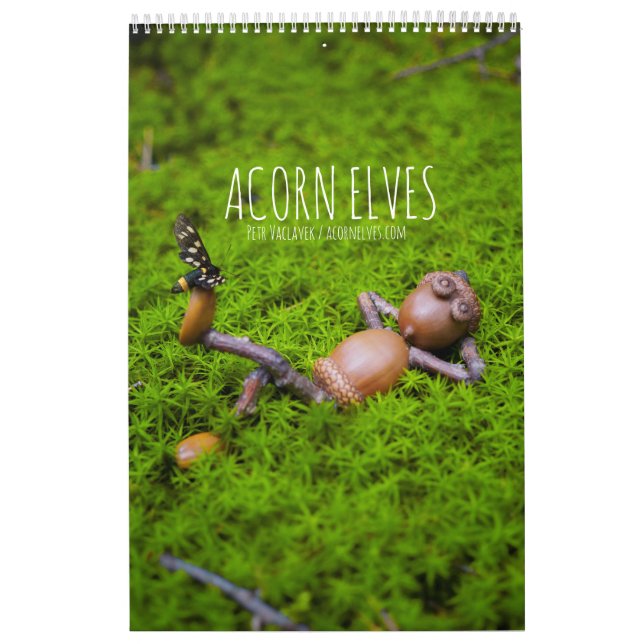 Acorn Elves / Calendário fotográfico Dubanci (Capa)