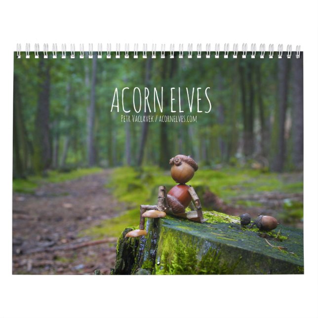 Acorn Elves / Calendário fotográfico Dubanci (Capa)