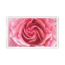 Bandeja com uma fotografia de um rosa bonito do