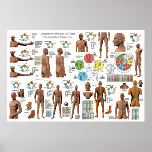 Acupuntura Pontos Meridiano Poster