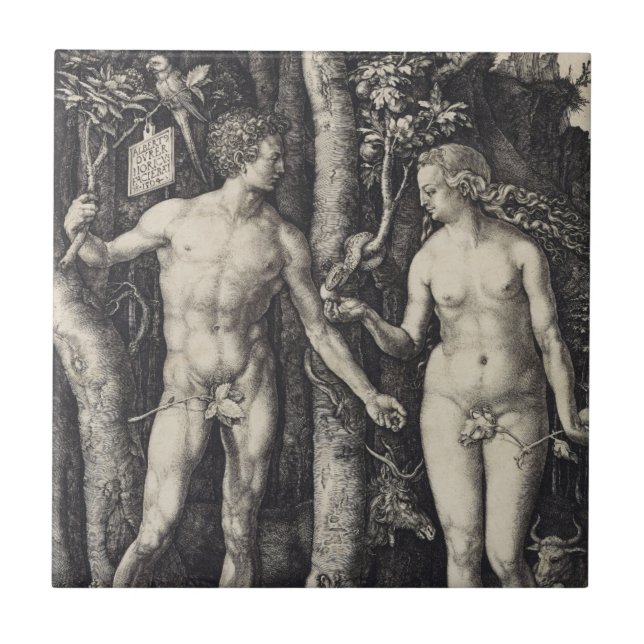 Adam e gravura da véspera por Albrecht Durer (Frente)