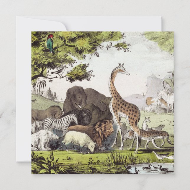 Adam Nomeia as Criaturas (Frente)