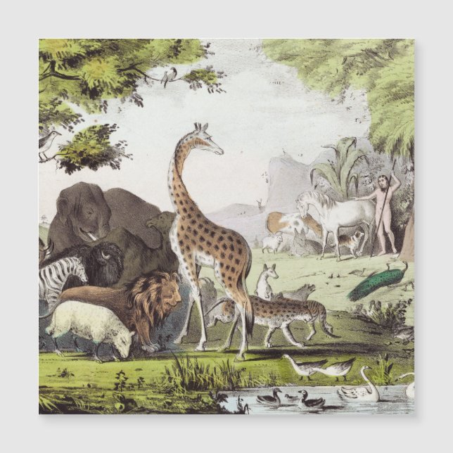 Adam Nomeia as Criaturas (Frente)