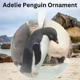 Adelie Penguin - Ornamento acrílico