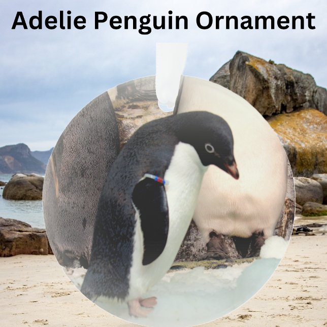 Adelie Penguin - Ornamento acrílico (Criador carregado)