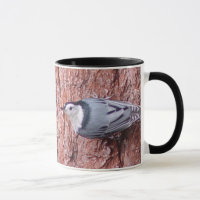 Aderir-se à caneca do pássaro do pica-pau-cinzento