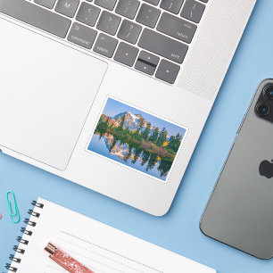 ADESIVO 