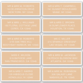 Adesivo 10 Nome de Convidado Individual Endereço Partido C