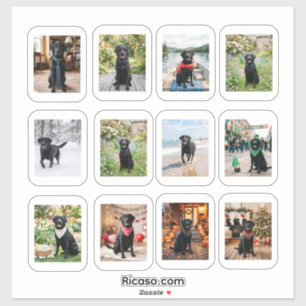 Adesivo 12 Fotos Personalizadas Com Moldura Branca