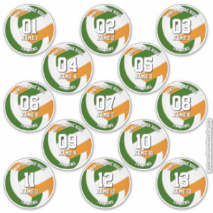Adesivo 13 cores da equipe verde laranja jogadores de vole