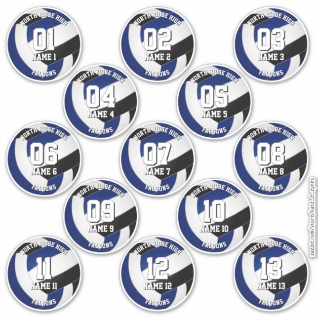 Adesivo 13 cores de equipe de atletas de volei clube azul  (Frente)