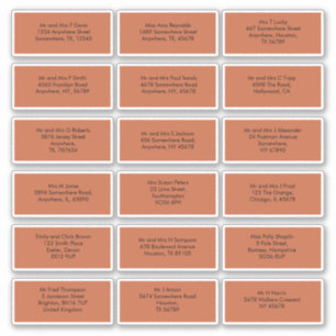 Adesivo 18 Nomes de Convidados Individuais Endereçam Terra