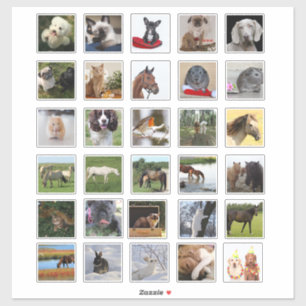 Adesivo 30 x Diário personalizado de remoção de fotos