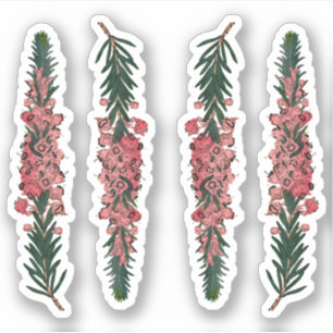 Adesivo 4 Sprigs of Cornish Heath (Erica vagans) - Contorn