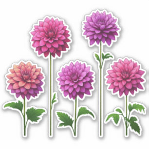 Adesivo 5 Rosa - Dália Roxa (brilhante)
