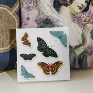 Adesivo 6 peças Contorno de borboleta colorida vintage bon