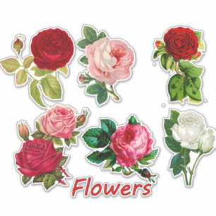Adesivo 7 rosas bonitos para Scrapbooking