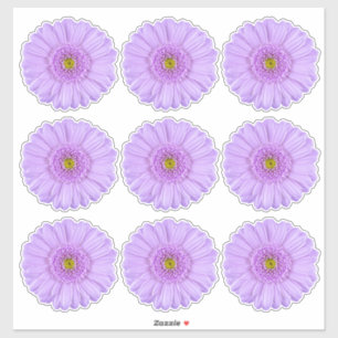 Adesivo 9 Autocolantes roxos Daisy Flower Kiss-Cut