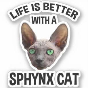 Adesivo A Vida É Melhor Com Um Gato Esfingx
