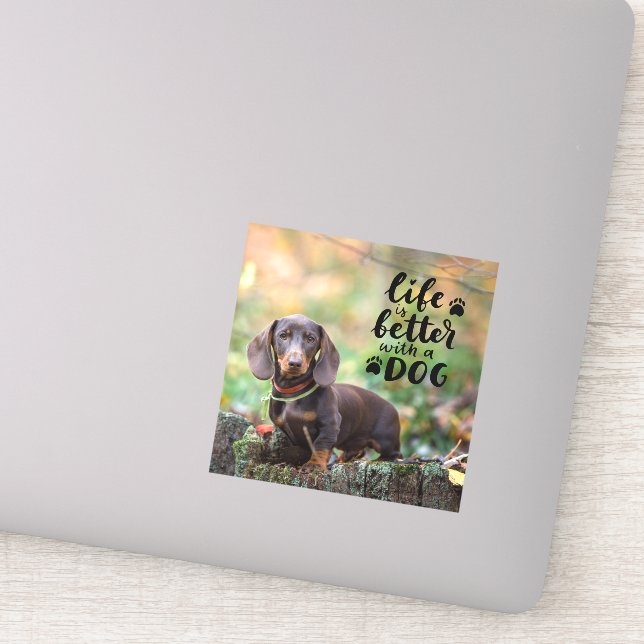 Adesivo A Vida Fotográfica Pet Personalizada é Melhor Com  (Detalhe)